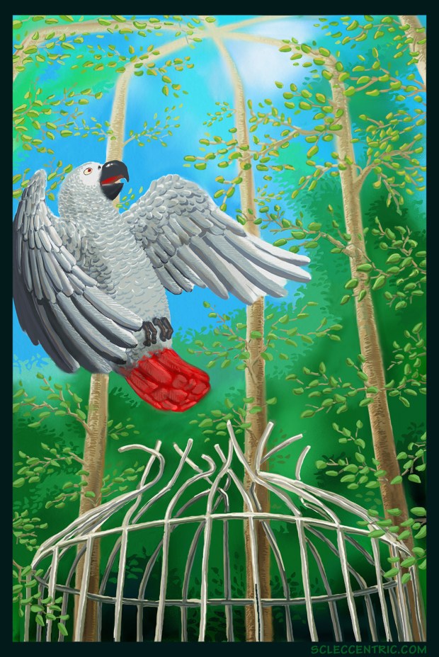 SCLeccentric - Flight