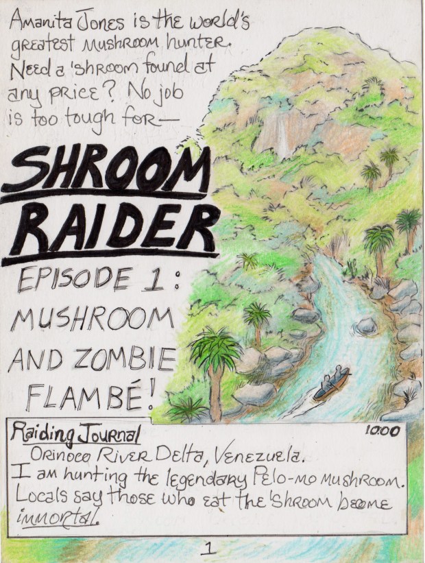 Shroom Raider_01