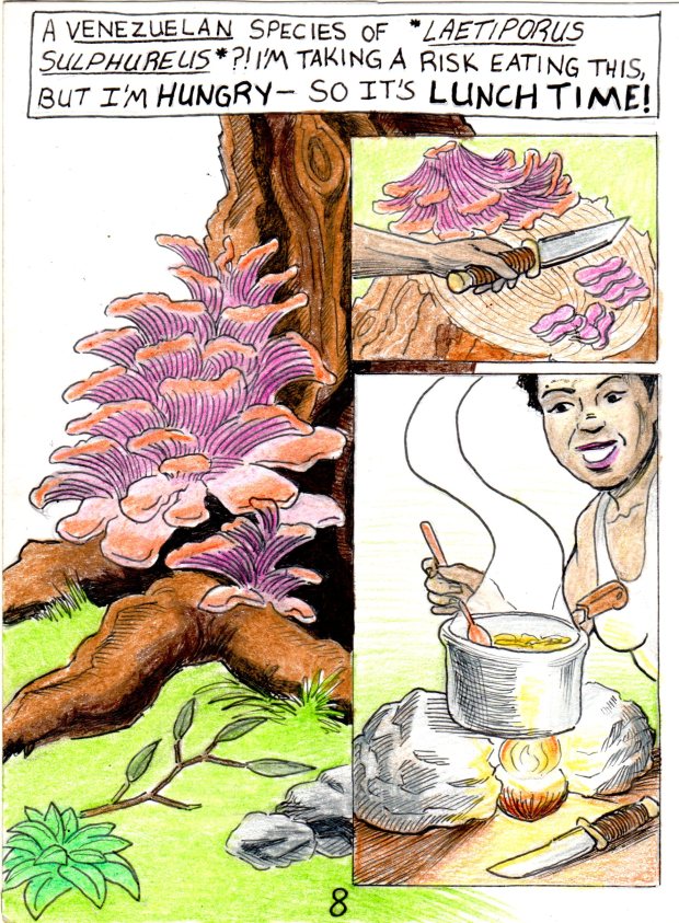 Shroom Raider page 8